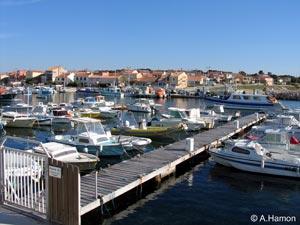 port de carro