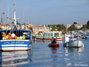 port de carro